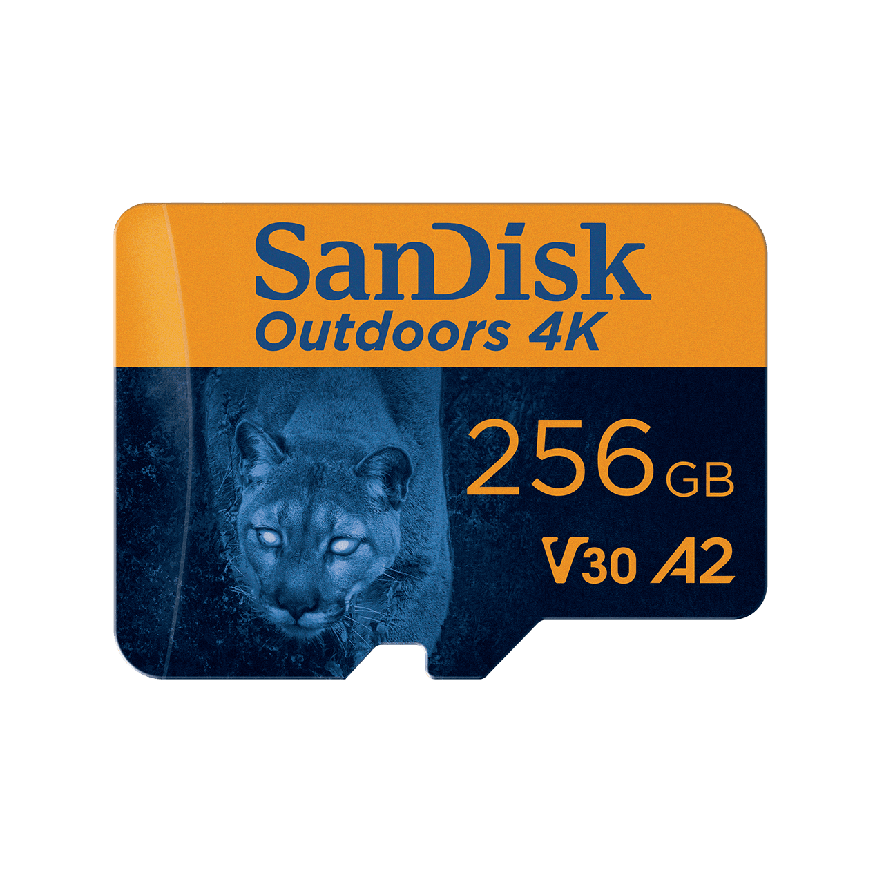 ww5 Outdoors 4K microSDXC UHS-I Card with SD Adapter - 256GB - Image5